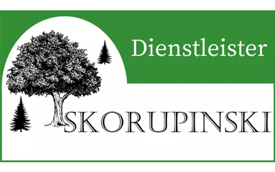 FSV Bad Orb - Dienstleister Skorupinski